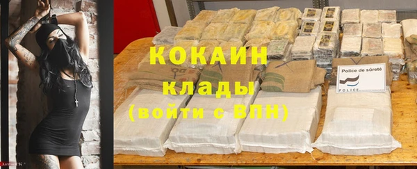 ГАЛЛЮЦИНОГЕННЫЕ ГРИБЫ Алзамай
